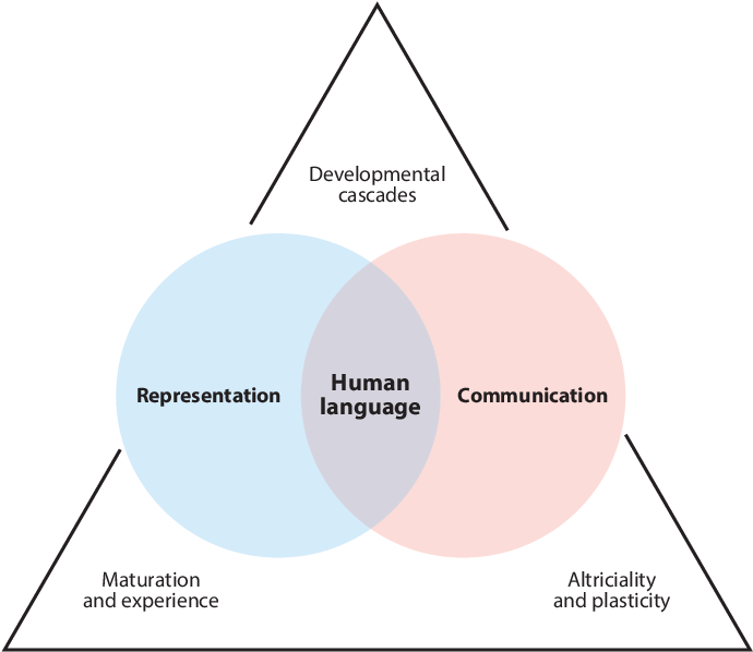 Figure 1 from Linking Language and Cognition in Infancy for vocabulary acquisition