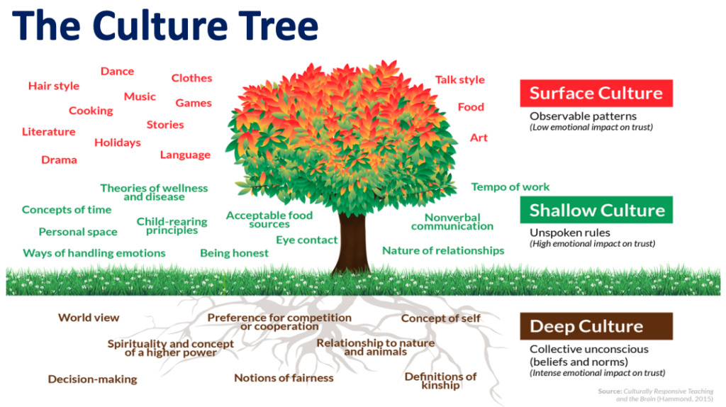 The Culture Tree from Hammond's Culturally Responsive Teaching and the Brain